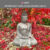 buddha- osobní rozvoj kopie