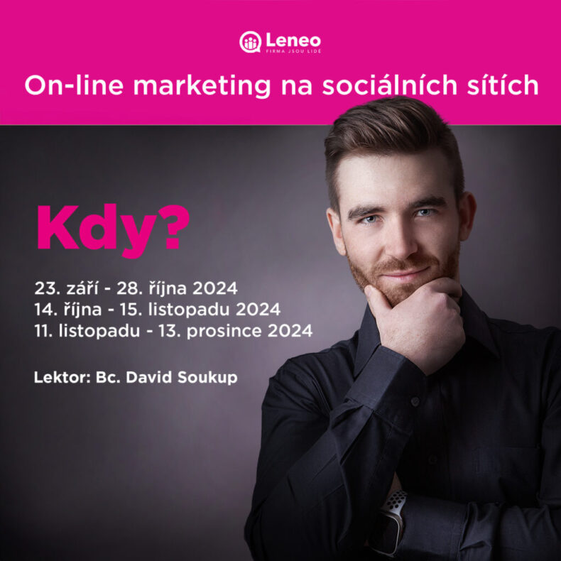 Online marketing s Davidem